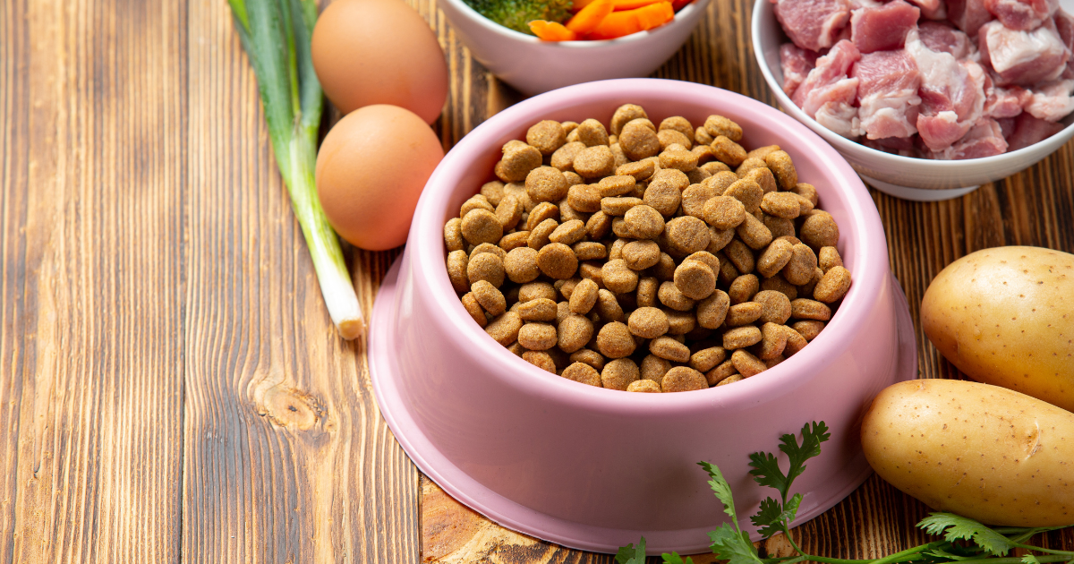 Best Dog Food with Grain